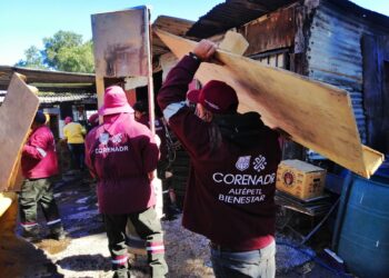 Tláhuac recupera 296 hectáreas de suelo ambiental