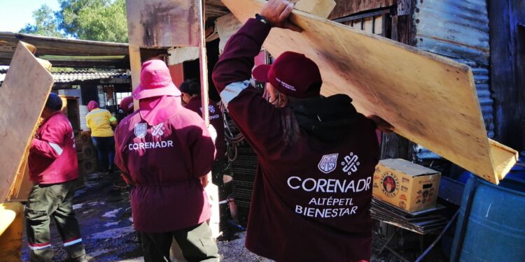 Tláhuac recupera 296 hectáreas de suelo ambiental