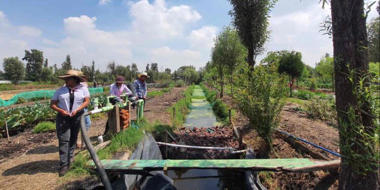 Xochimilco fomenta educación y cuidado del medio ambiente