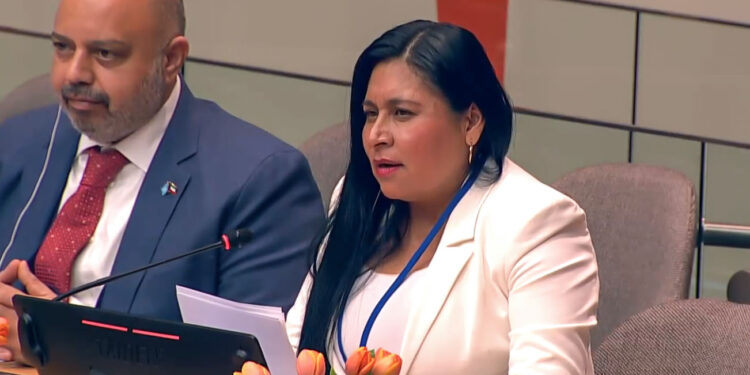 Ana Lilia Rivera demanda en la ONU alcanzar la paz y seguridad internacionales