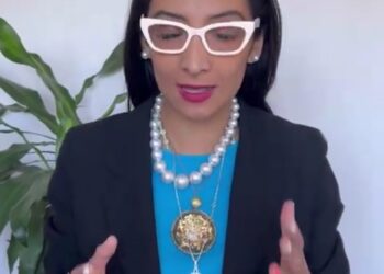 Ana Villagrán renuncia al PAN