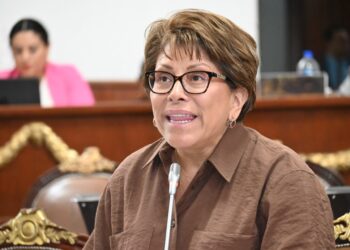 Gabriela Salido mete con calzador a la Comisión de Planeación en iniciativa de rentas