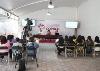 Discapacidad, embarazo y condición de salud, principales motivos de discriminación