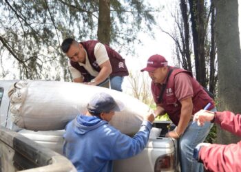 Sí habrá romeritos para Navidad