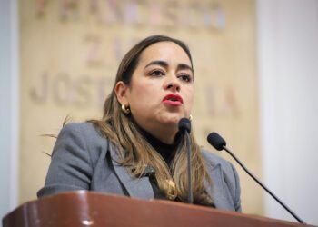 ‘Sistema Público de Cuidados CDMX’, una tentación para Morena: diputada