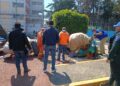 En Coyoacán se recuperan más espacios públicos
