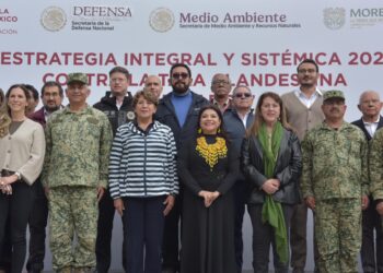 Toda la fuerza del Estado contra la tala clandestina: Clara Brugada