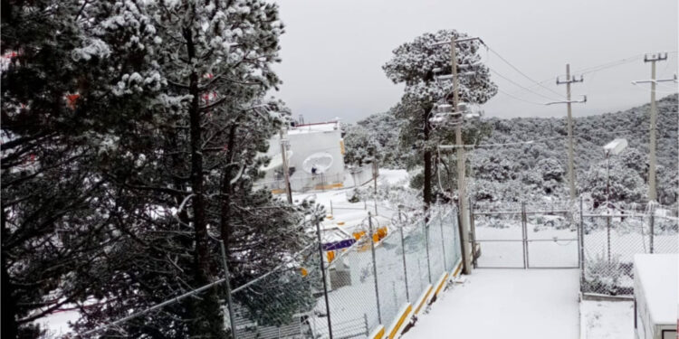 ¡Nevó en el Edomex! Paisajes de invierno llegan al Nevado de Toluca