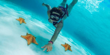 Cozumel se prepara para recibir a casi 120,000 cruceristas en la primera semana de enero de 2025