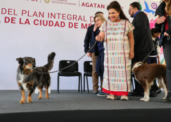 Anuncia Brugada hospital veterinario y 20 clínicas de atención animal