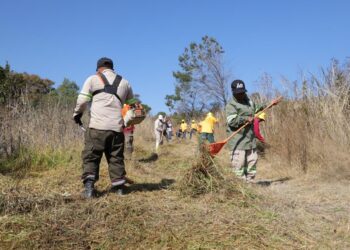 HABILITA ALCALDÍA ÁO CORTAFUEGOS EN PRESA TARANGO