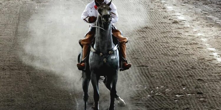 Urge Congreso garantizar el cuidado de animales en la charrería