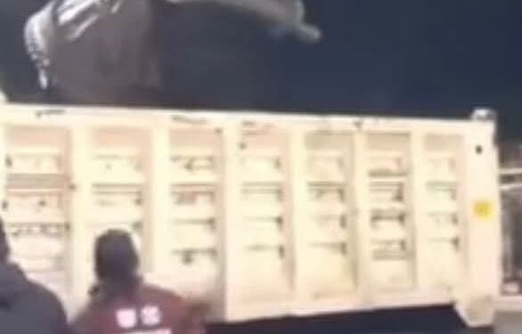 Circe Camacho, monumento a la incompetencia