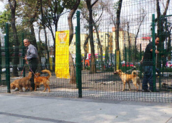 Adopción de mascotas a cambio de un «donativo» en parques de la CDMX
