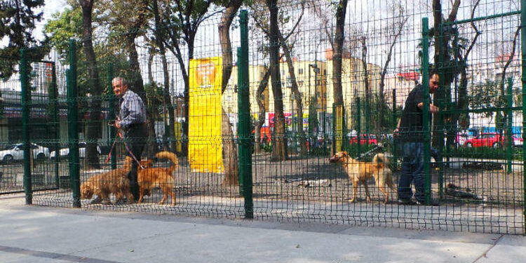 Adopción de mascotas a cambio de un «donativo» en parques de la CDMX