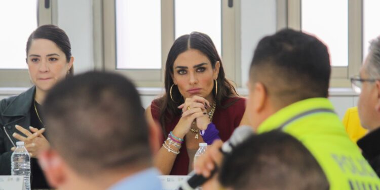 Alessandra Rojo, la degradación del servicio institucional