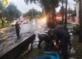 Lluvias dejan 15 árboles caídos e inundaciones