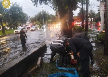 Lluvias dejan 15 árboles caídos e inundaciones 