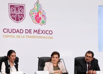 Defender el suelo verde, prioridad para este Gobierno: Brugada