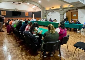 «Mercados: Auditoría Urgente»