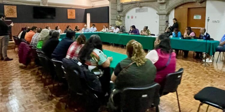 «Mercados: Auditoría Urgente»