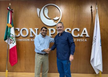 Borrador automático