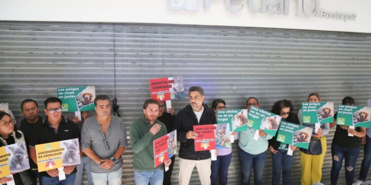 Petco, Maskota, Petland: legalidad no es moralidad