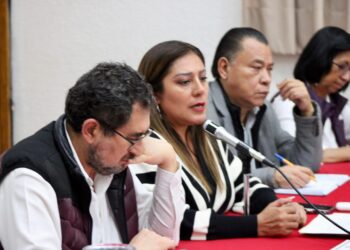 ¿Apoyo o simulación?