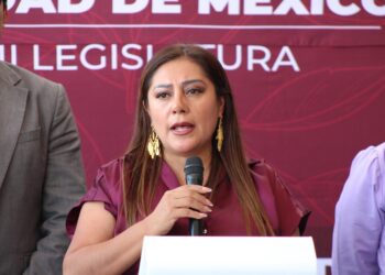 Cuidados, trabajo invisible que el Congreso promete visibilizar… otra vez