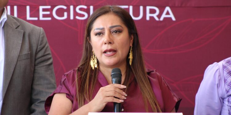 Cuidados, trabajo invisible que el Congreso promete visibilizar… otra vez