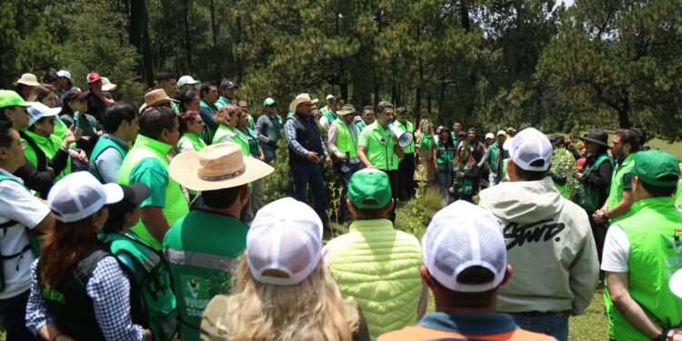 PVEM planta árboles en Tlalpan, un compromiso ecológico o acto de campaña tardío
