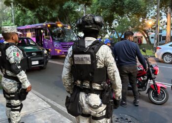 Seguridad y legalidad marcan operativos en Coyoacán