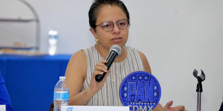 PAN acusa: gobierno gasta en trenes, pero no arregla fugas