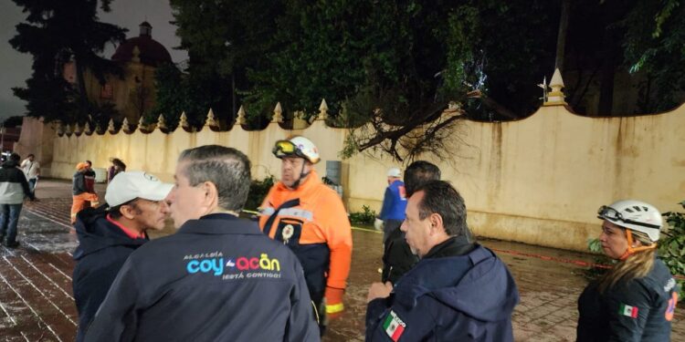 Rescatan a dos personas atrapadas por árbol caído en Coyoacán