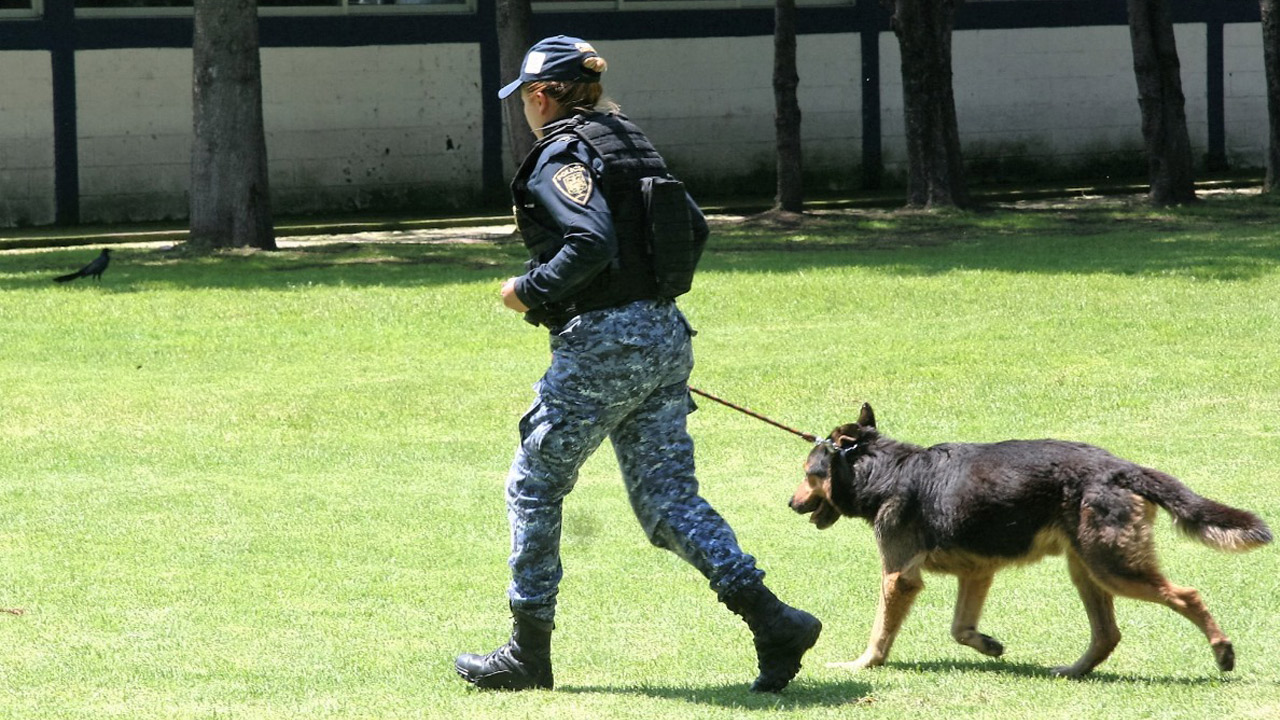 Modelo colaborativo animalista se extiende de Cuajimalpa a toda la CDMX