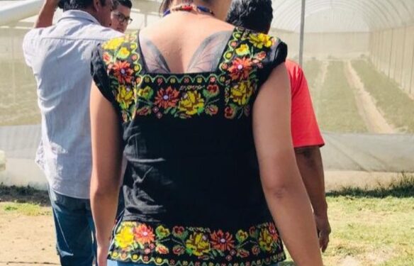 Xochimilco en crisis, la gestión de Circe Camacho no da resultados