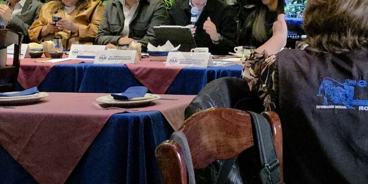 PAN pide más recursos para el Metro y la infraestructura capitalina