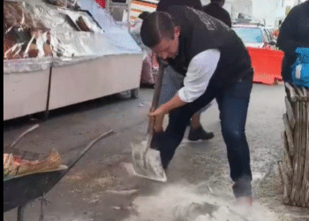 ¡Los Ojos de la Capital!