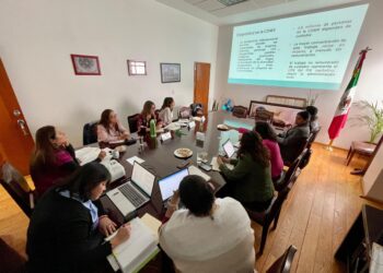 Organizaciones civiles demandan presupuesto adecuado para cuidados en CDMX