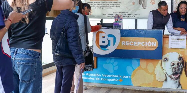 Benito Juárez reafirma su compromiso con el bienestar animal