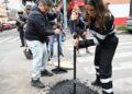 Bachéale alcanza los 10 mil baches tapados