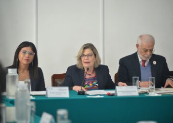 Congreso capitalino pide fortalecer atención a la salud mental