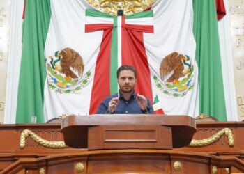 Maltrato animal representa más de la mitad de denuncias ambientales en 2024