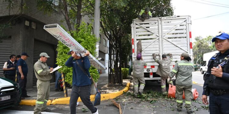 ¡Manos a la Obra! Ale Rojo de la Vega transforma la Colonia Buenos Aires