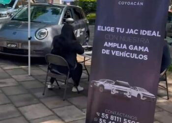 Acusan lucro con espacios públicos en Benito Juárez y exigen rendición de cuentas