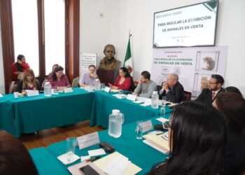 Piden trato diferenciado para especies en regulación de venta de animales