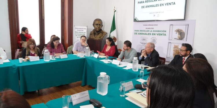 Piden trato diferenciado para especies en regulación de venta de animales