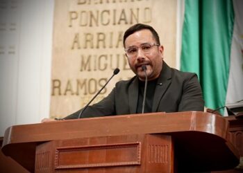 Proponen catálogo legal de árboles patrimoniales en la capital