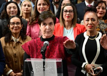 Congreso CDMX nombra a González Saravia: una defensora con cuatro décadas de experiencia