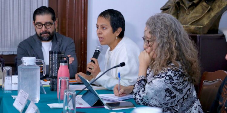 Urgen diputadas medir el impacto real de la política social en la capital